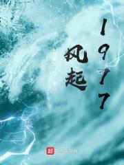 风起1978陆远苏锦兰短剧