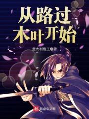 从木叶村开始的海陆空