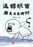 这群玩家明明实力超强却过分沙雕