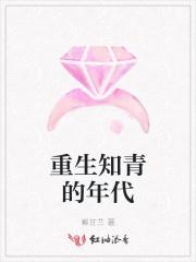 重生知青的年代免费阅读