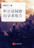 和巫妖同僚的学术聚会 txt