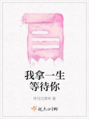 我用一生来等待歌名是什么