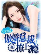 专宠一生总裁宠妻成瘾txt