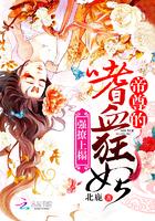 强撩魔尊生个崽免费阅读