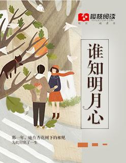 明月知我心歌曲完整版