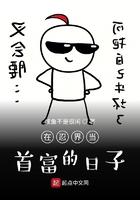 在忍界当首富的日子txt