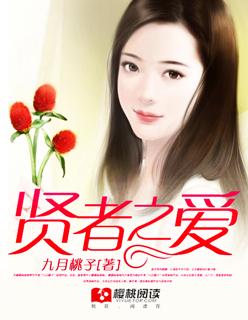 贤者之爱无删减版盘