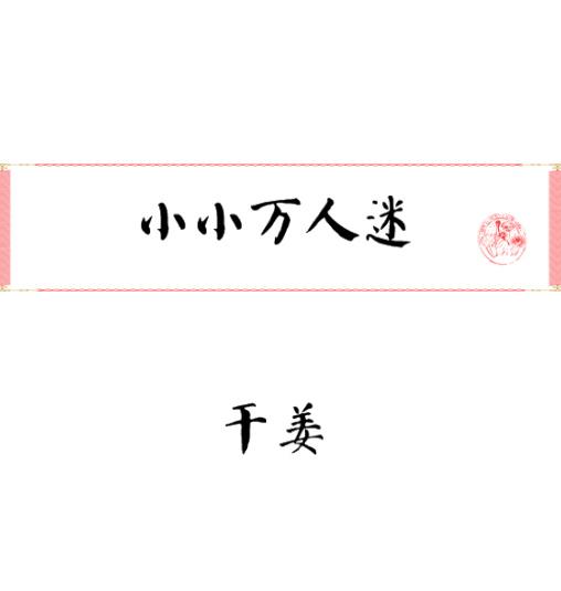 小小万人迷txt