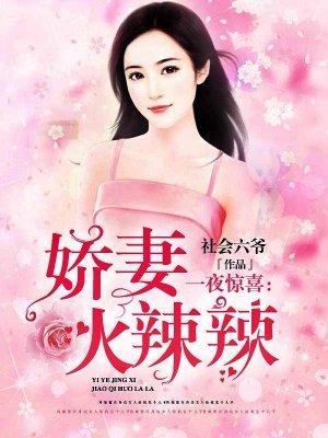 言情一夜惊喜