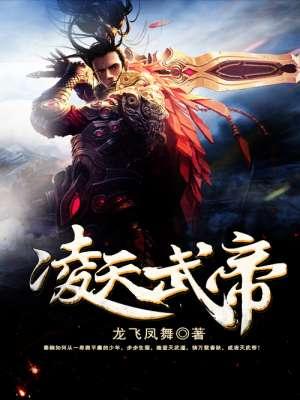 凌天武帝秦初白最全集