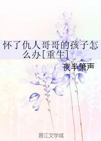 怀了哥哥们的孩子