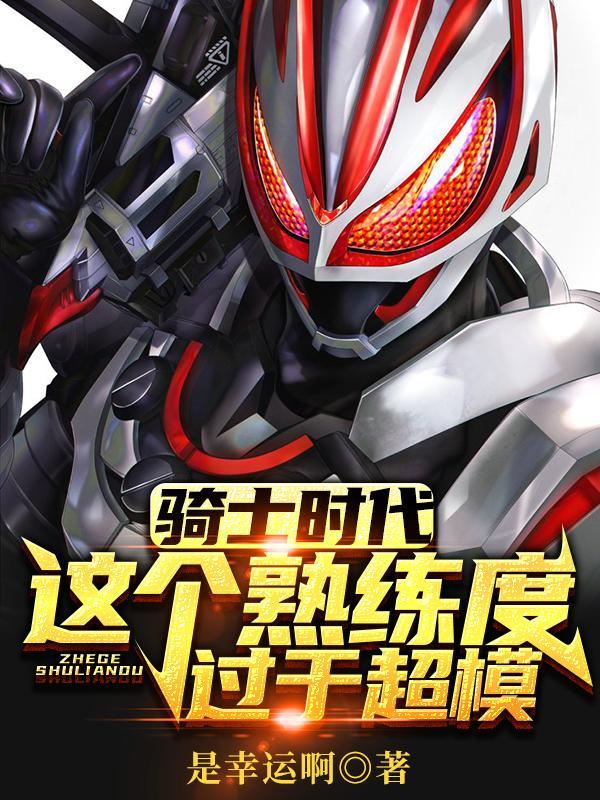 骑士的时代