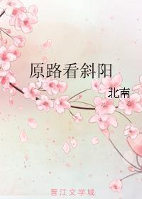 原路看斜阳评价