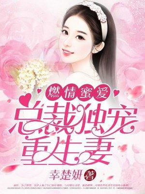 高冷总裁求复合