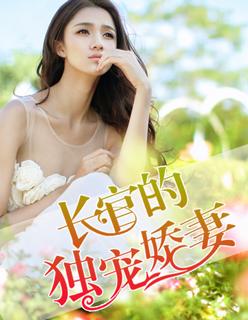 长官的新宠txt