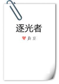 逐光者音乐