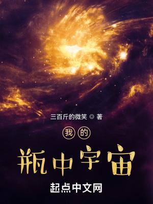 我的瓶中宇宙txt