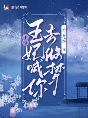 王妃喊你去做梦TXT