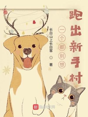 我在新手村挥刀一亿次免费阅读