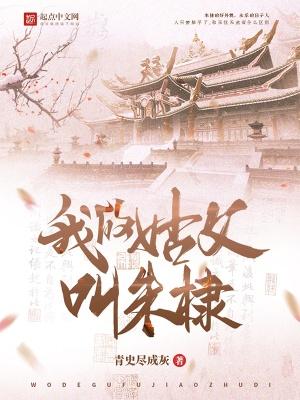 我的姑父叫朱棣txt