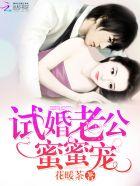 试婚老公蜜蜜宠免费的