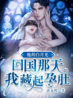 沈云雾秦夜免费阅读全文重生