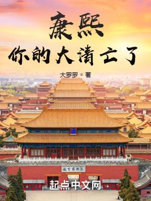 你的大清亡了 起点