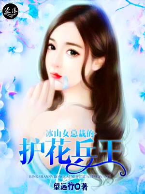 冰山女总裁的至尊兵王