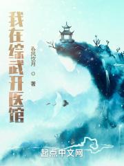 我在综武开医馆 吞风饮月txt
