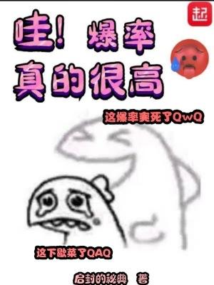 哇!爆率真的很高作 者启封的秘典