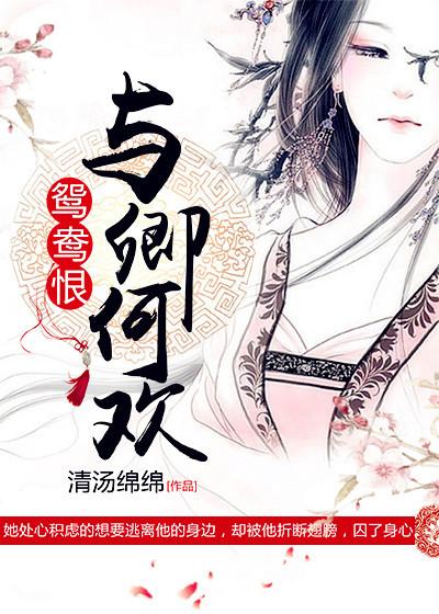 鸳鸯恨与卿何欢 刘连苏讲什么