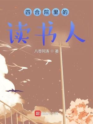 四合院里的读书人女主角是谁