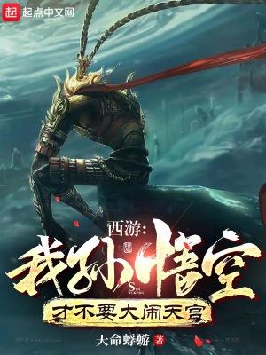西游我孙悟空绝不出山无弹幕