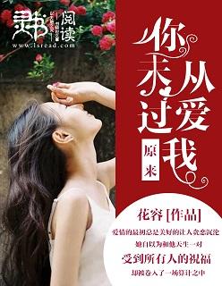 原来你从来没有爱过我是什么歌曲