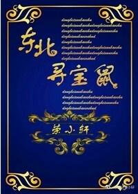 东北寻宝鼠无防盗章节笔趣阁