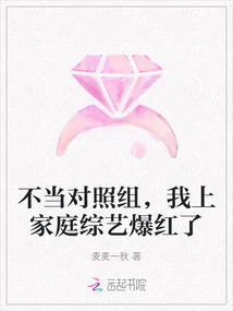 我上家庭综艺爆红了txt