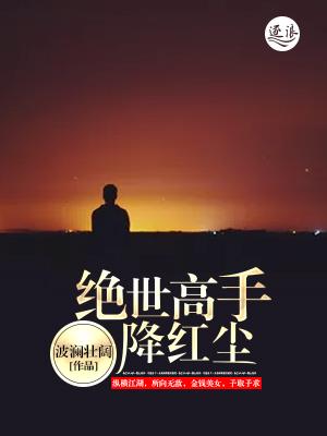 绝世高手再逢红尘老人