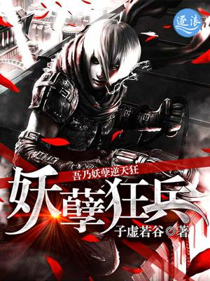 妖孽狂兵龙王叶飞