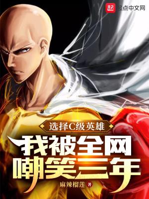 选择c级英雄我被全网嘲笑三年百