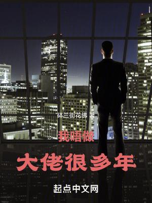 我做大佬这些年