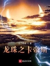 龙珠之卡卡罗特