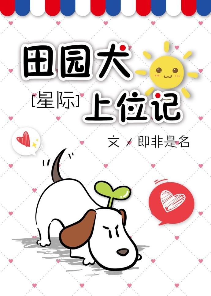田园犬的日常