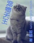 宠物天王评价