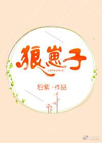 狼崽子傅风浪全文最新章节免费阅读