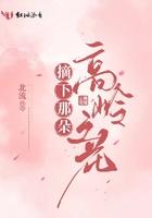 摘下那朵高岭之花作文