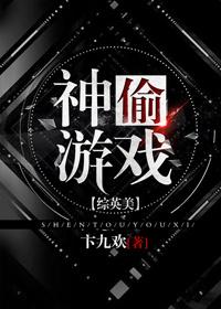 神偷游侠全本免费阅读通道