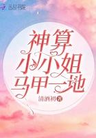 神算大小姐无弹窗