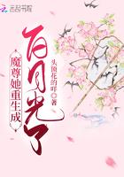 重生成了魔尊的白月光