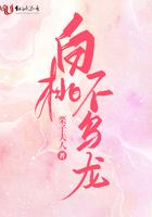 白桃乌龙是啥意思