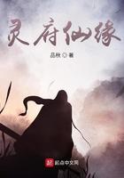 灵府仙缘好看吗